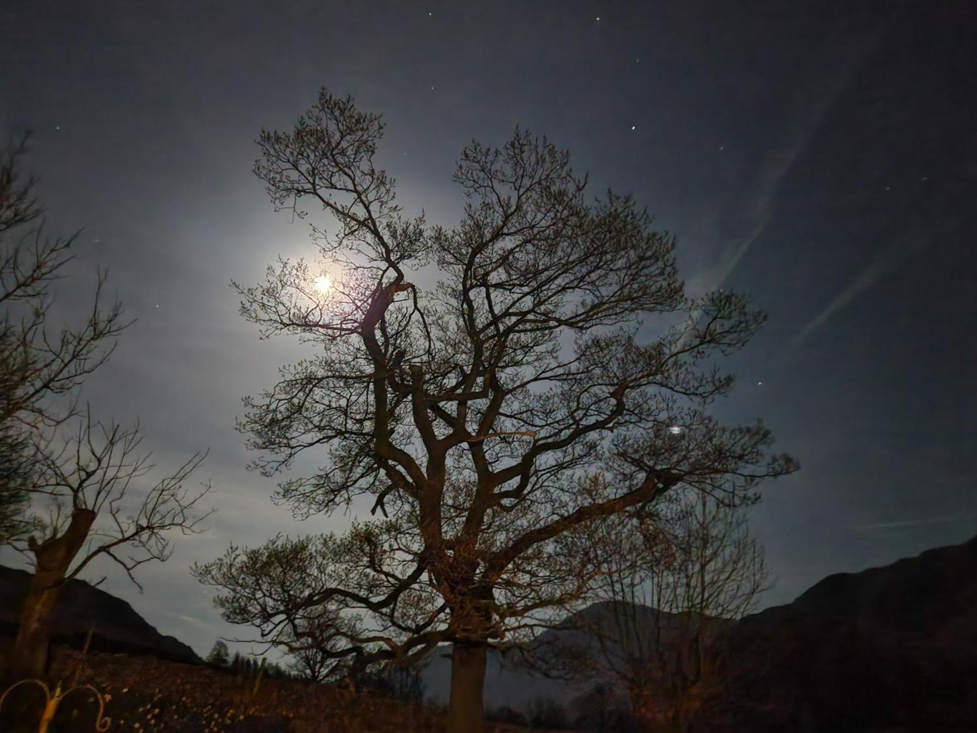 Blea Tarn Farmhouse B&B آمبيلسايد المظهر الخارجي الصورة